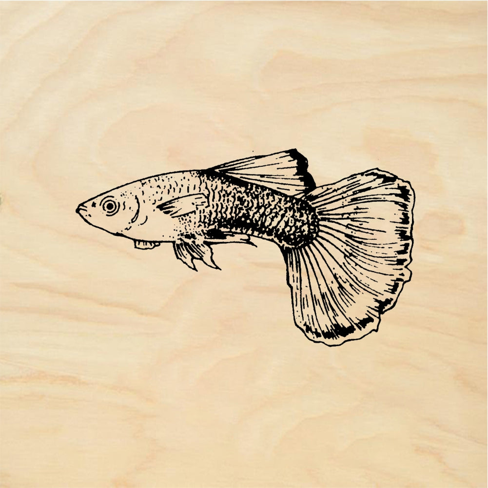 StampaFe Guppy Fish - Rubber Stamp 1.25 x 0.75