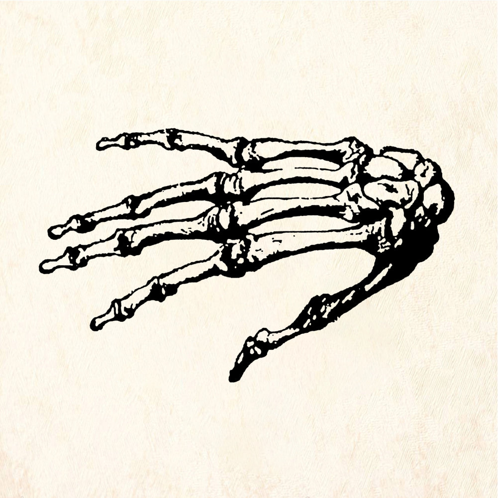 StampaFe Skeleton Rubber Stamp 1.75 x 1