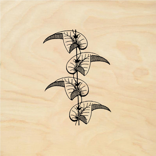 StampaFe Bordered border Bordered Vine Border - Rubber Stamp 1.25 x 1.75