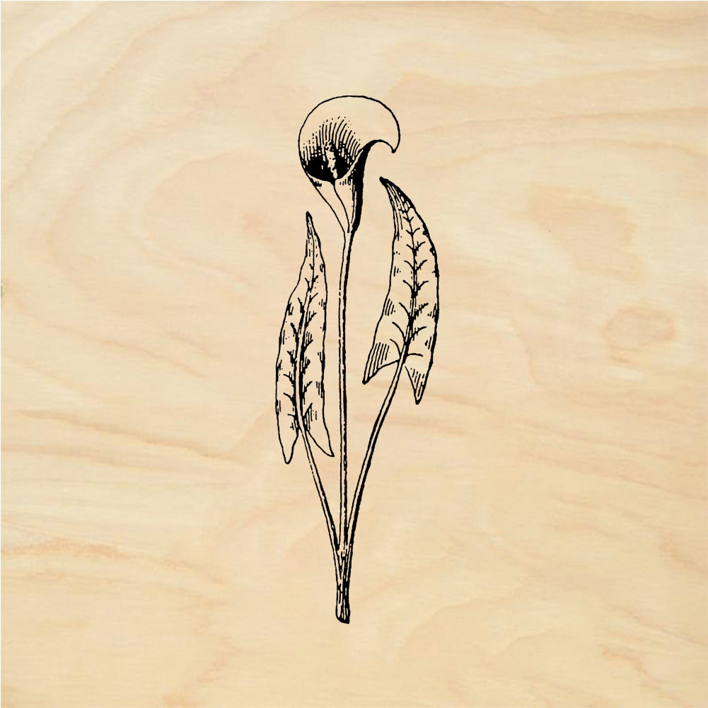 StampaFe Lily spray - Rubber Stamp 1.25 x 1.5