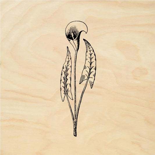 StampaFe Lily spray - Rubber Stamp 1.25 x 1.5