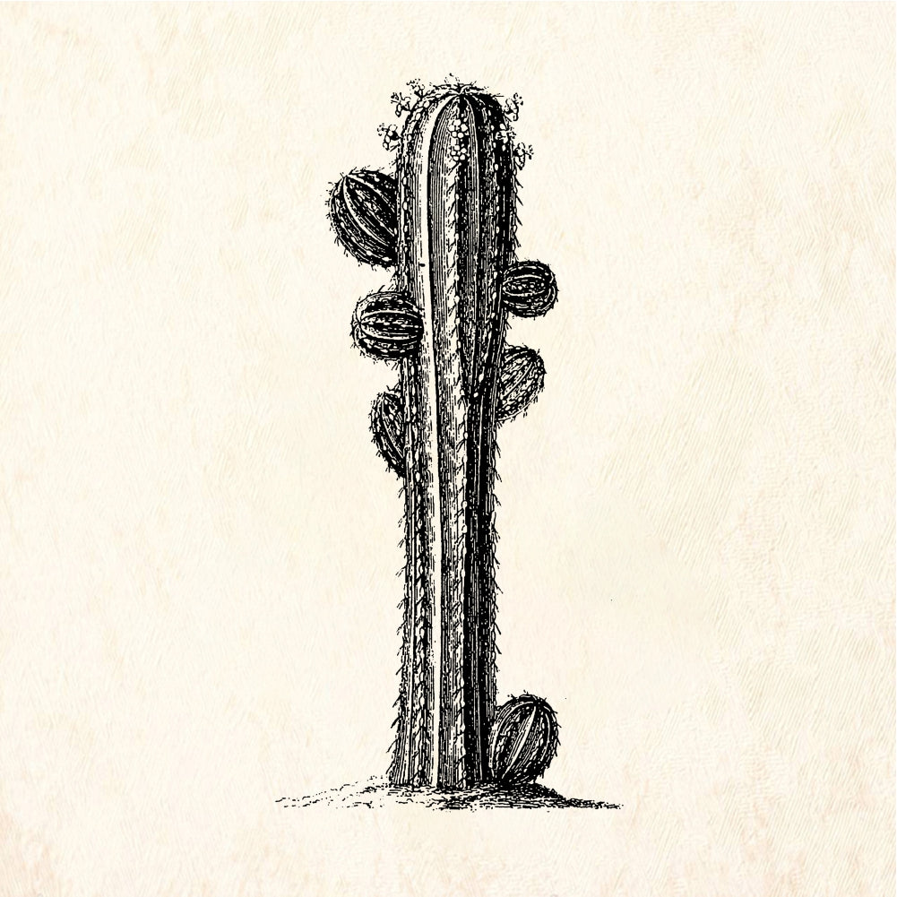 StampaFe Tall Columnar Cactus Rubber Art Stamp