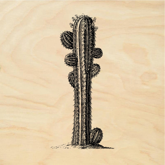 StampaFe Tall cactus - Rubber Stamp 0.5 x 3.25