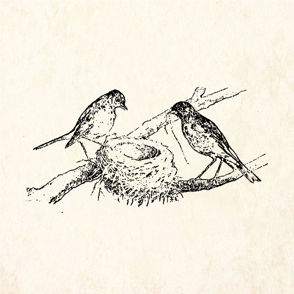 StampaFe Bird with nest - Rubber Stamp 2 x 1.25