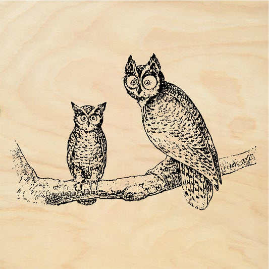 StampaFe StampaFe Pair of Owls on a Branch Rubber Stamp 2.5 x 1.5