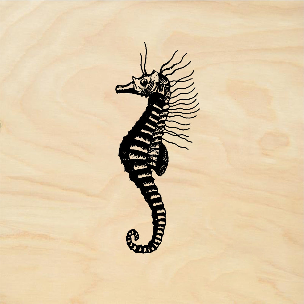 StampaFe Seahorse - Rubber Stamp 1 x 1.25