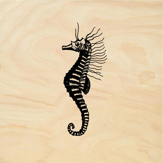 StampaFe Seahorse - Rubber Stamp 1 x 1.25