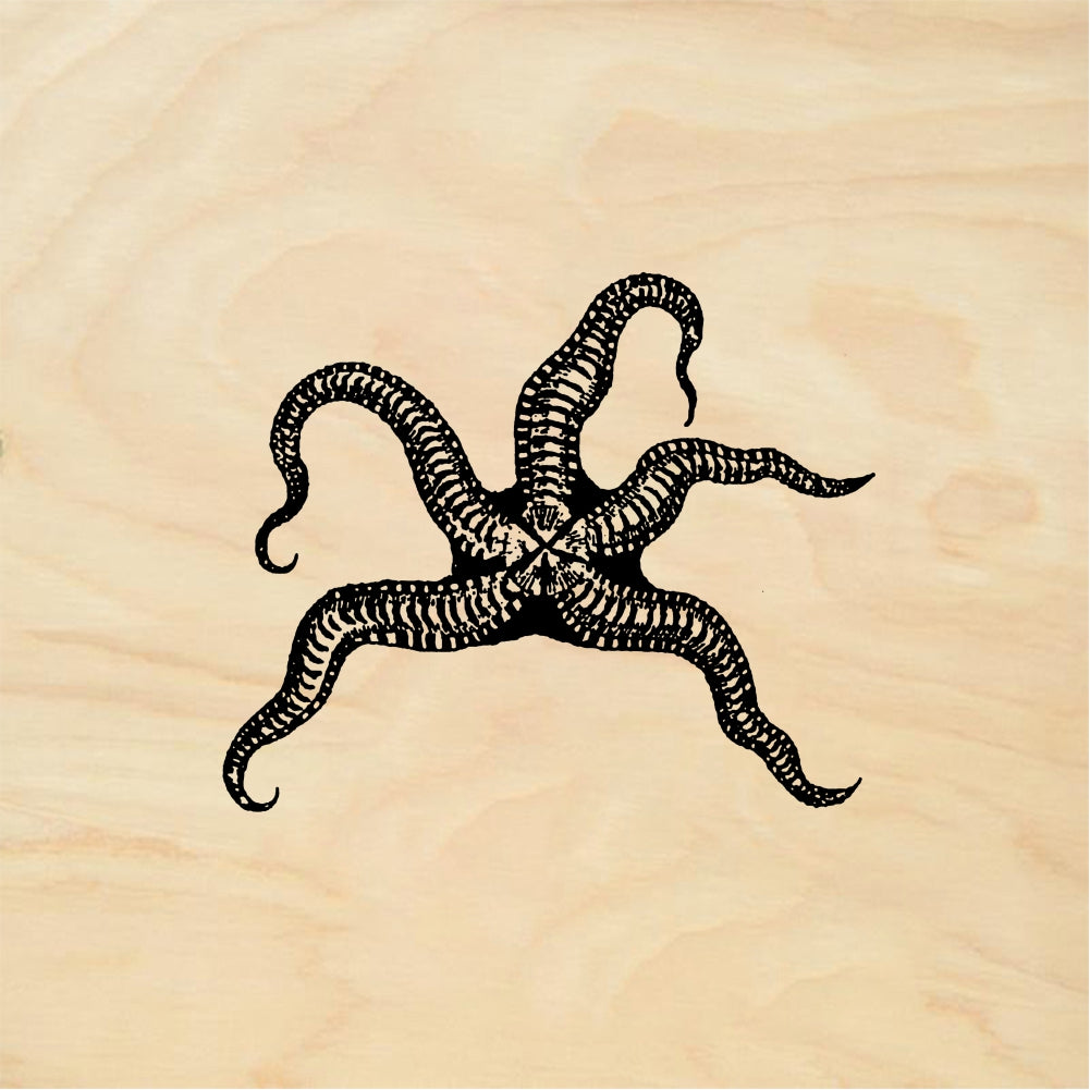 StampaFe Starfish - Rubber Stamp 1.75 x 1.25
