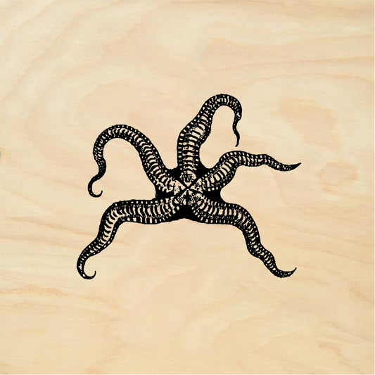 StampaFe Starfish - Rubber Stamp 1.75 x 1.25