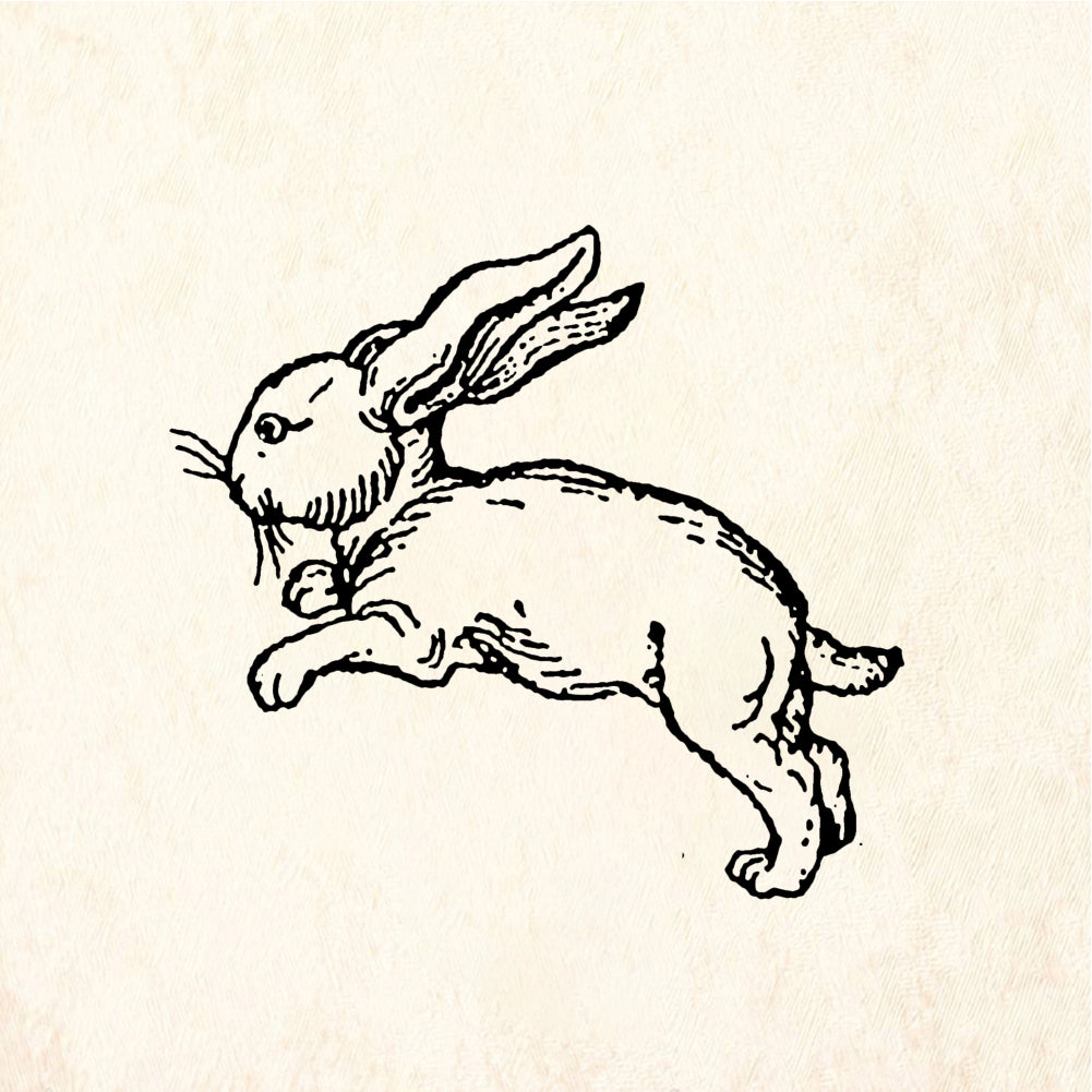 StampaFe Running bunny - Rubber Stamp 0.75 x 0.75