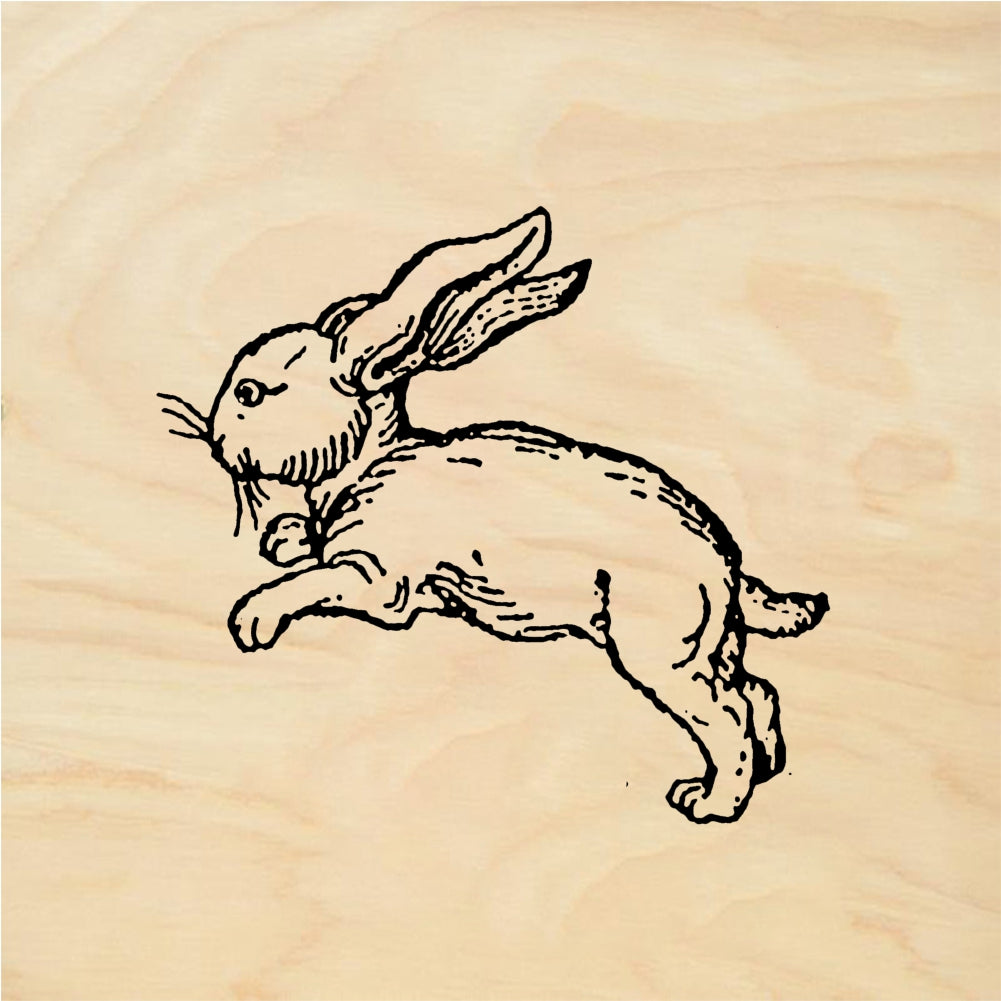 StampaFe Running bunny - Rubber Stamp 0.75 x 0.75