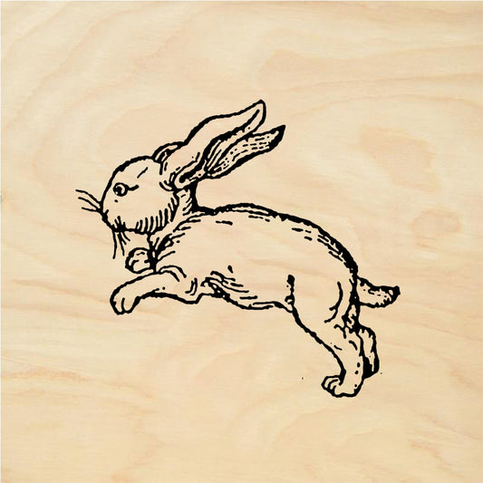 StampaFe Running bunny - Rubber Stamp 0.75 x 0.75