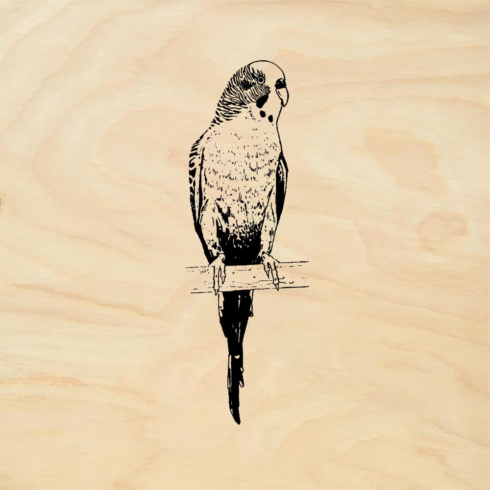 StampaFe Parakeet - Rubber Stamp 1.25 x 1.5
