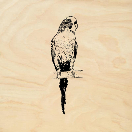 StampaFe Parakeet - Rubber Stamp 1.25 x 1.5