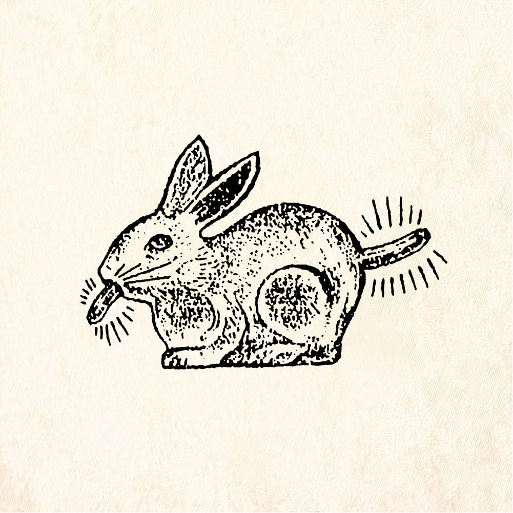 StampaFe Rubber-tongued bunny Tongue Out Bunny - Rubber Stamp 1.25 x 1.25