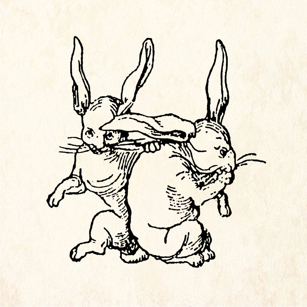 StampaFe Cornering bunnies - Rubber Stamp 1.5 x 1