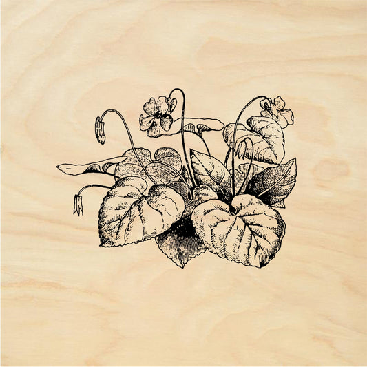StampaFe Violets Violet Flowers - Rubber Stamp 1.75 x 2