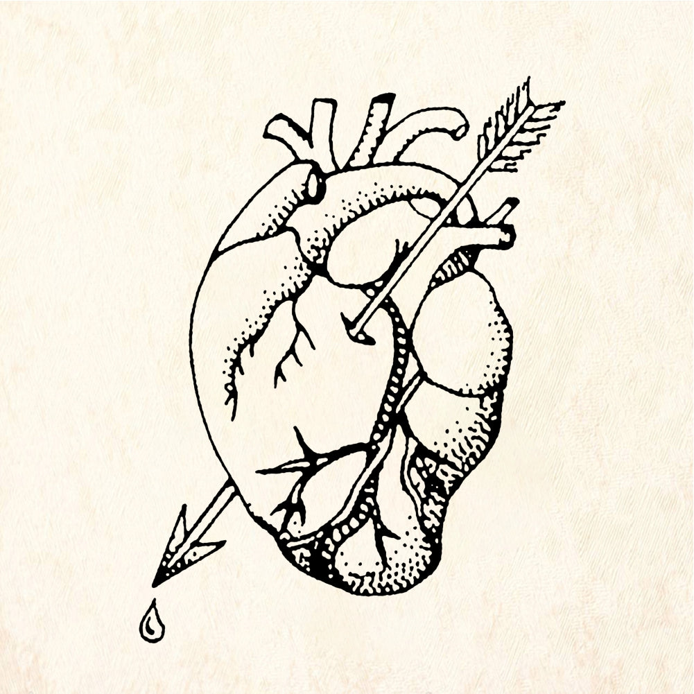 StampaFe Bingo Heart Anatomical Heart with Arrows Rubber Stamp