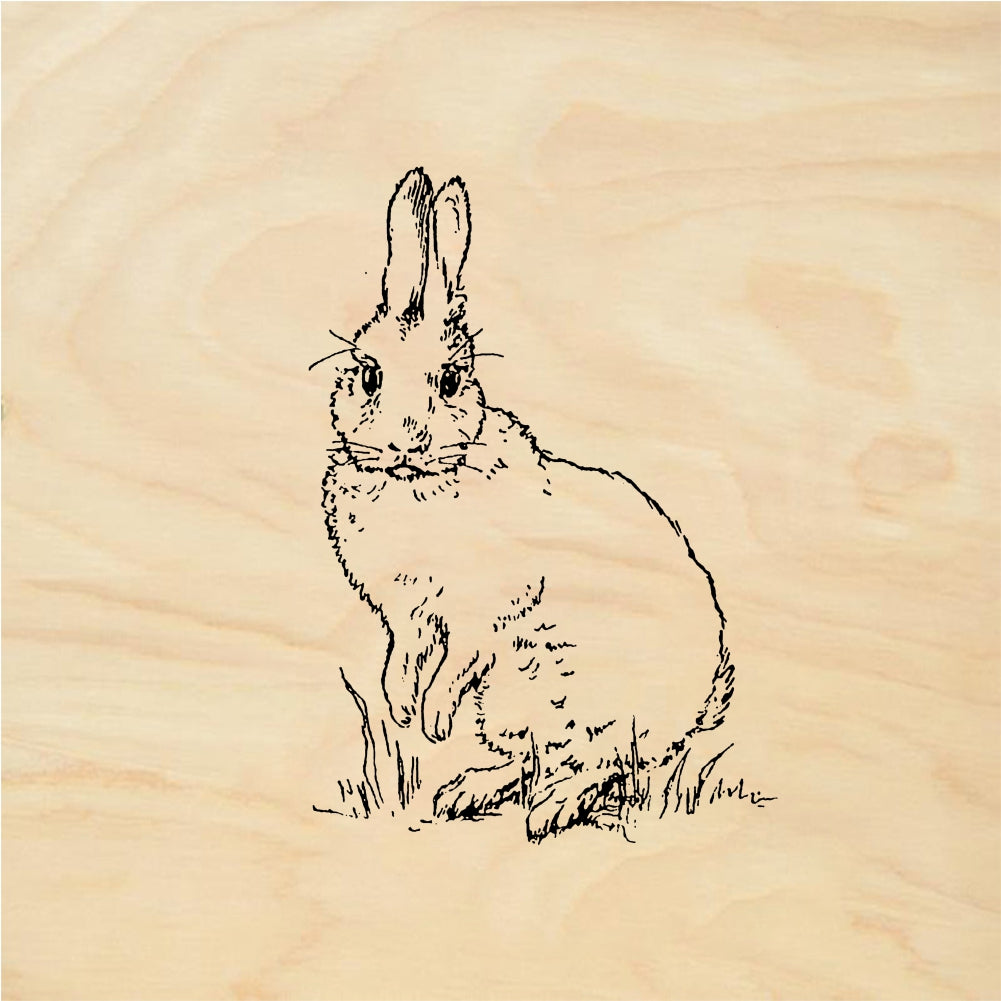 StampaFe Bunny in the grass Bunny in Grass - Rubber Stamp 0.75 x 1