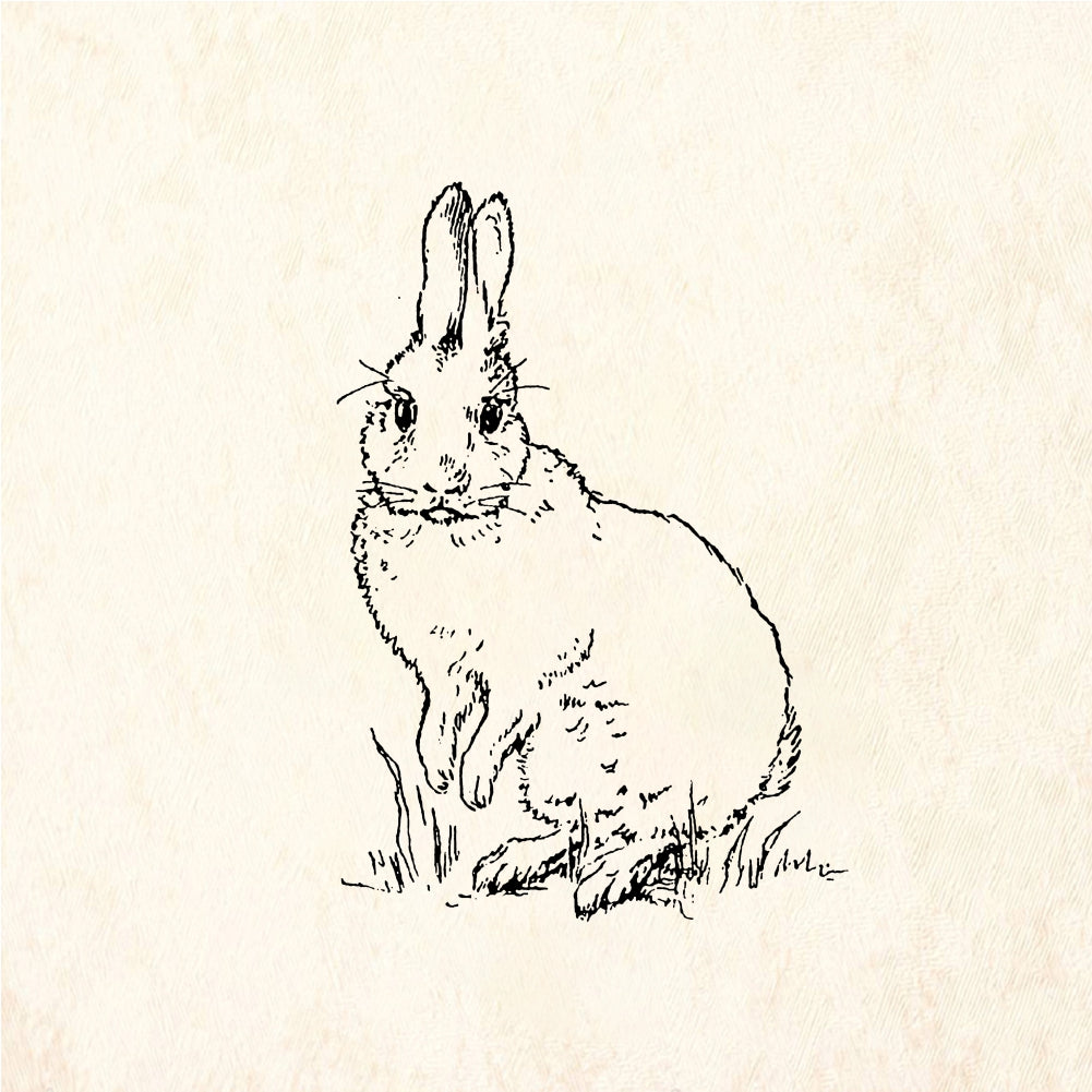 StampaFe Bunny in the grass Bunny in Grass - Rubber Stamp 0.75 x 1