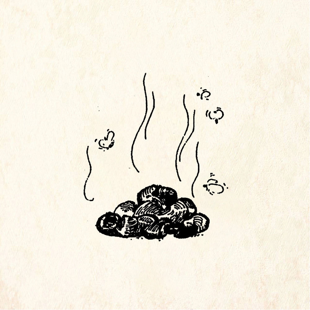 StampaFe Pile of poop with flies Poop with Flies - Rubber Stamp 1.25 x 1.25