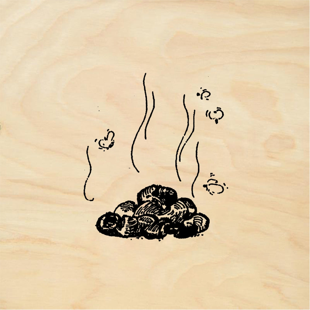StampaFe Pile of poop with flies Poop with Flies - Rubber Stamp 1.25 x 1.25