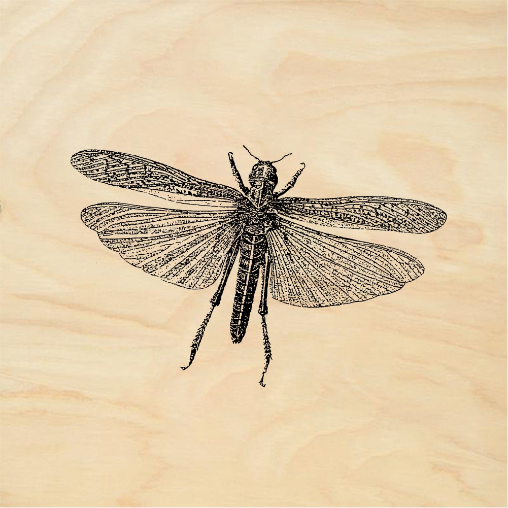 StampaFe Grasshopper - Rubber Stamp 3.5 x 1.25