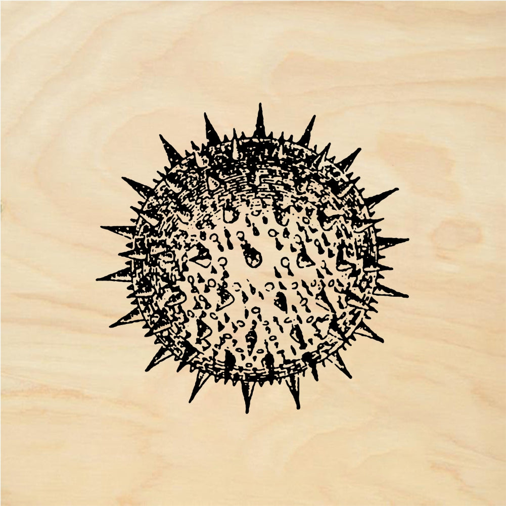 StampaFe Spore Burst - Rubber Stamp 1.75 x 1.5