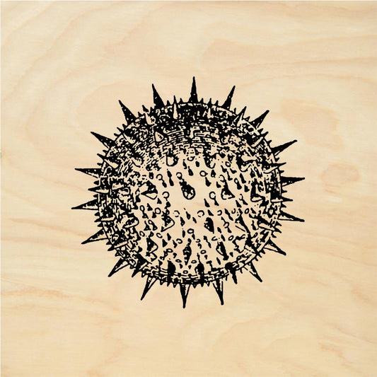 StampaFe Spore Burst - Rubber Stamp 1.75 x 1.5