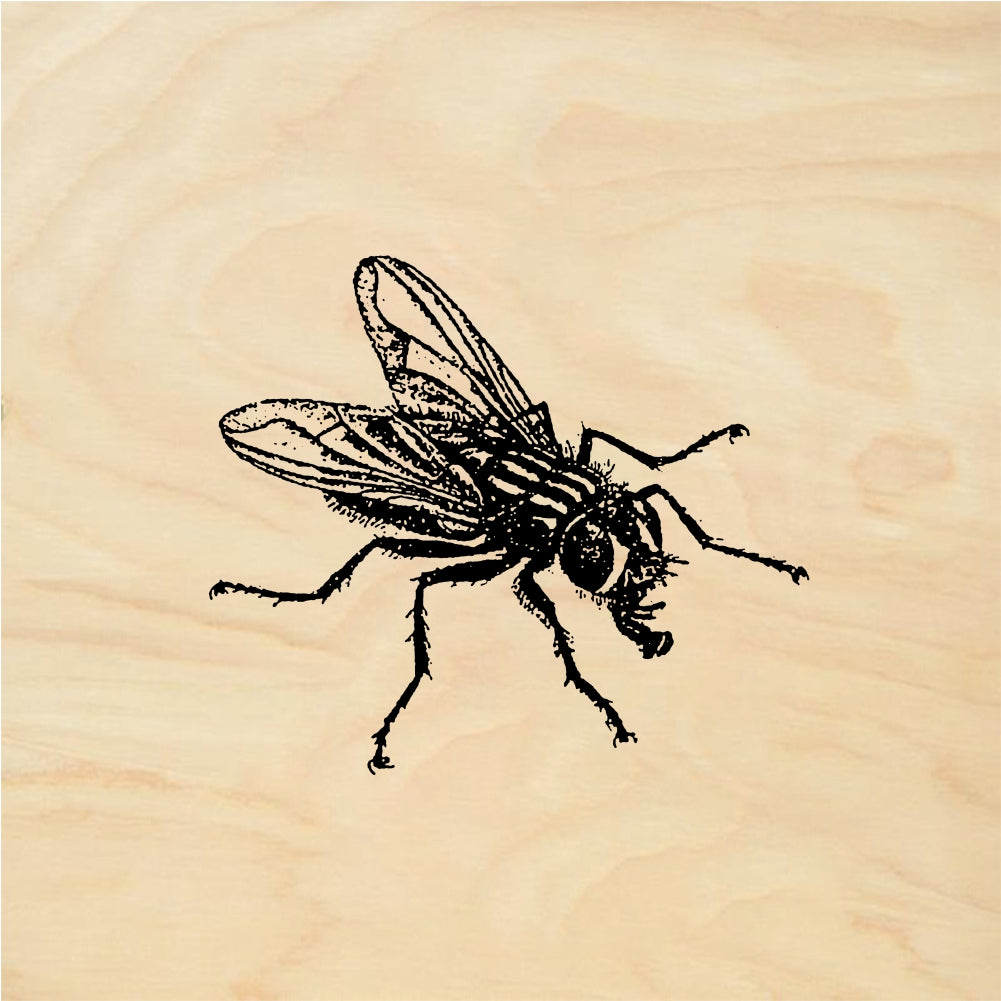 StampaFe House fly - Rubber Stamp 1.25 x 1.25