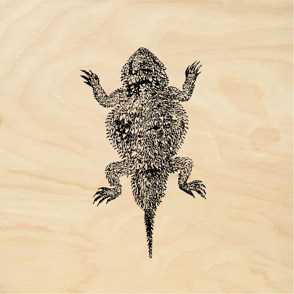 StampaFe Horned toad - Rubber Stamp 1.25 x 1.25