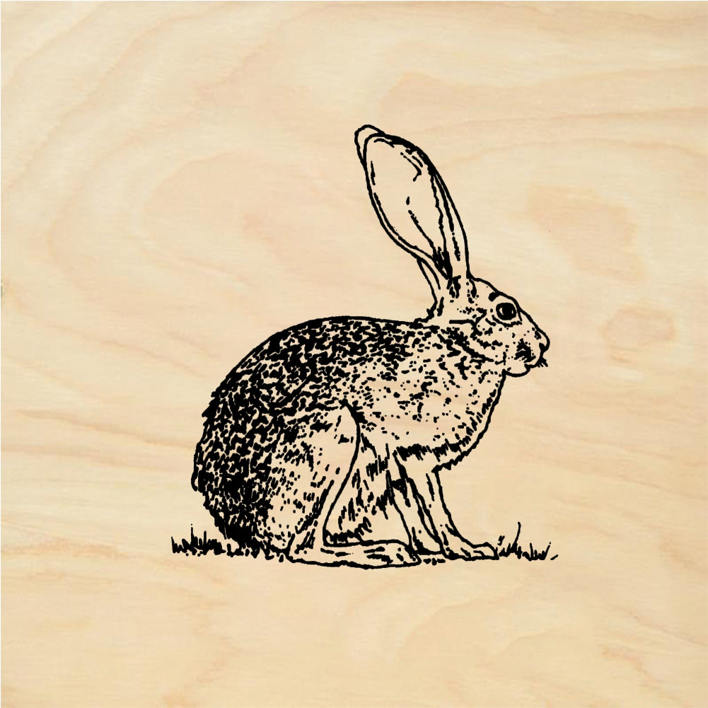 StampaFe Jack Rabbit - Rubber Stamp 2 x 2
