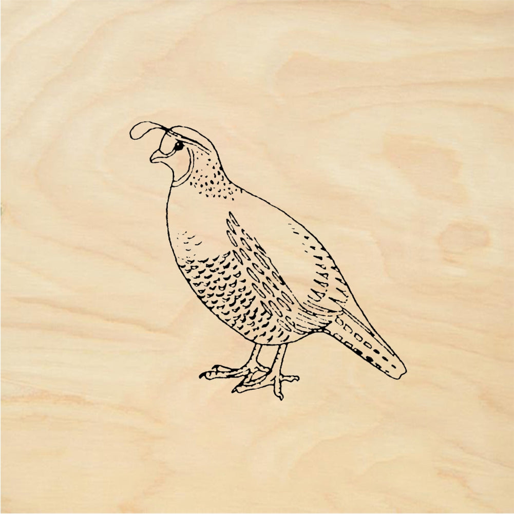 StampaFe Quail Detailed Quail Bird Rubber Stamp 1 x 1