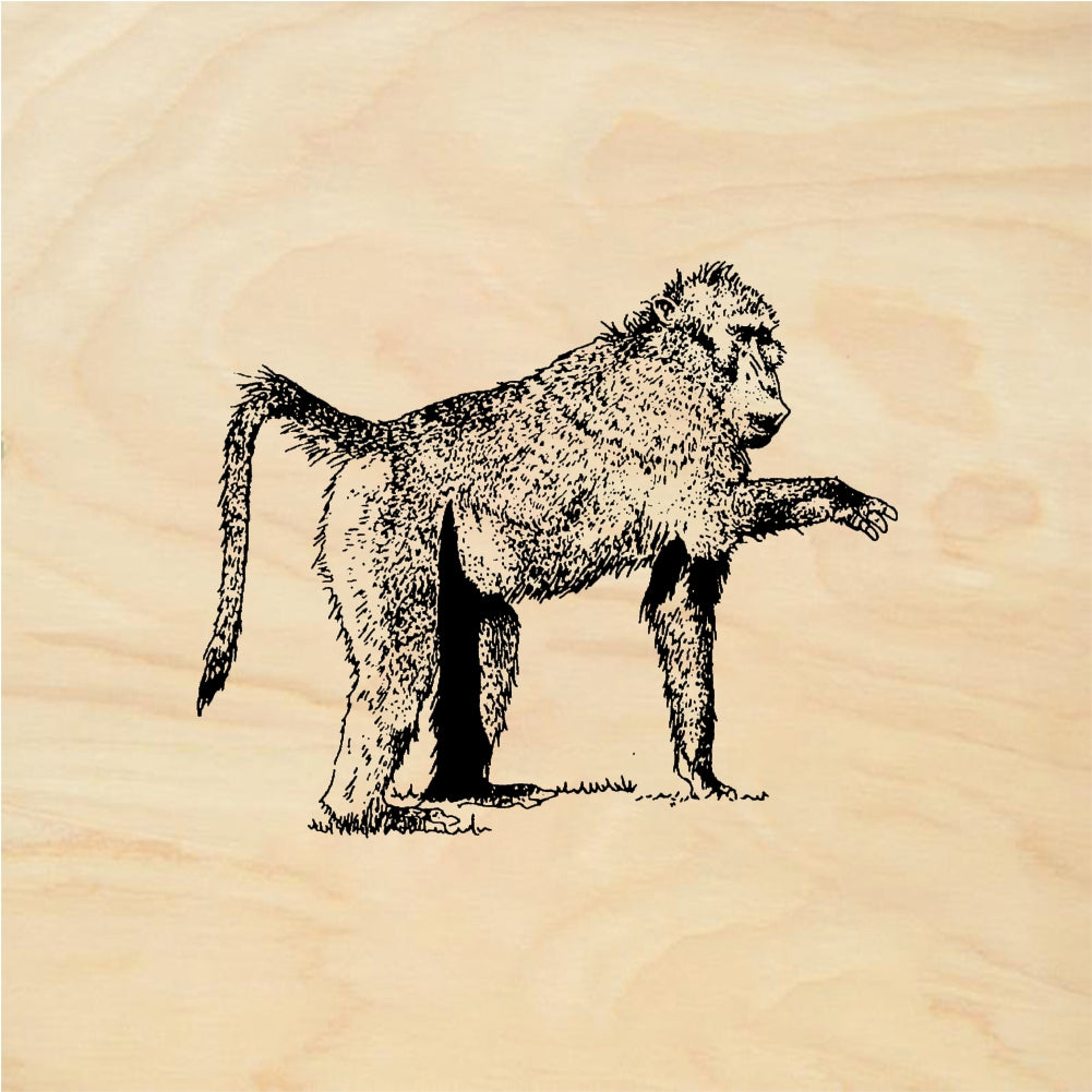 StampaFe Baboon Detailed Baboon Animal - Rubber Stamp 2 x 1.5