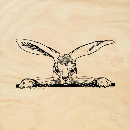 StampaFe On the edge bunny - Rubber Stamp 2.75 x 2