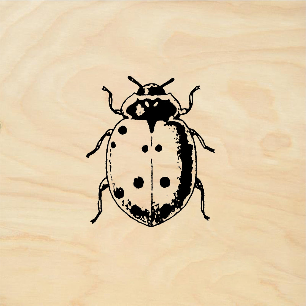 StampaFe Little Ladybug - Rubber Stamp 0.5 x 0.75