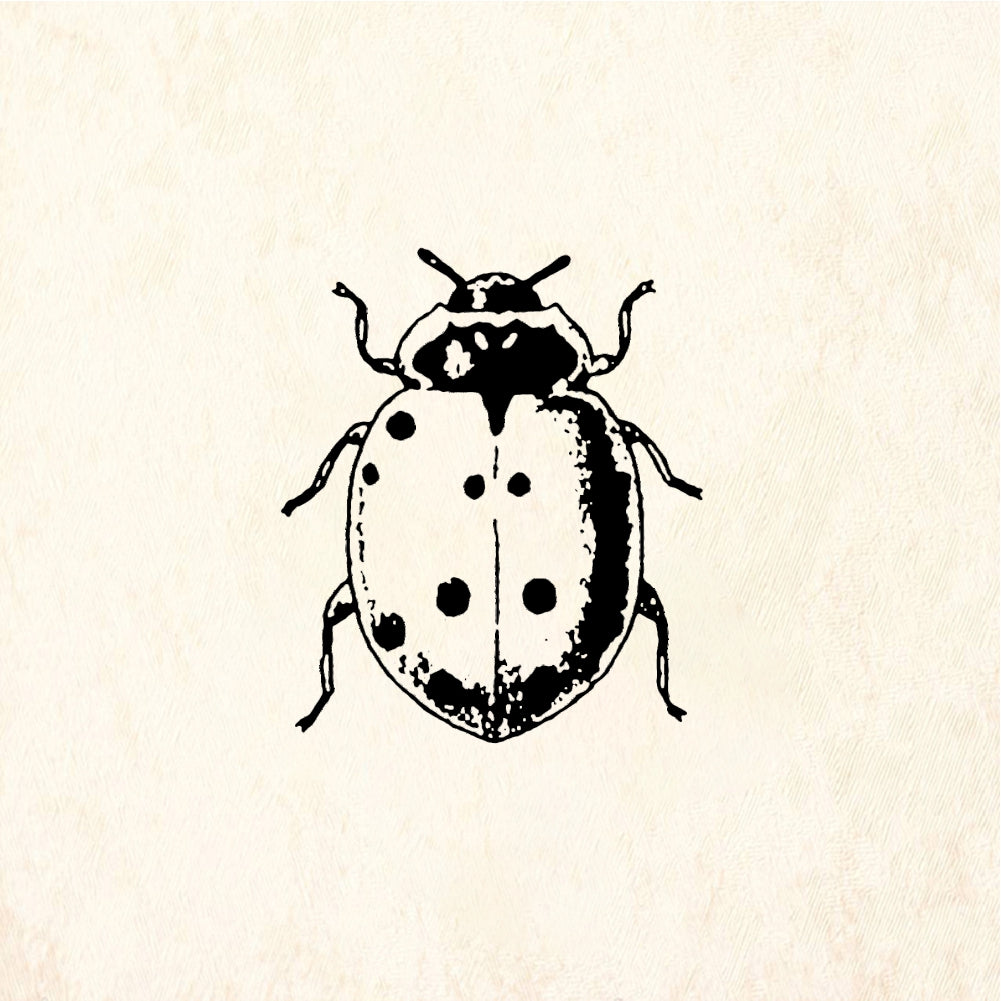 StampaFe Little Ladybug - Rubber Stamp 0.5 x 0.75