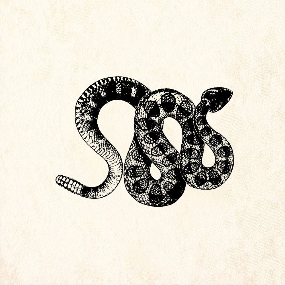 StampaFe Rattlesnake - Rubber Stamp 2.25 x 1.5