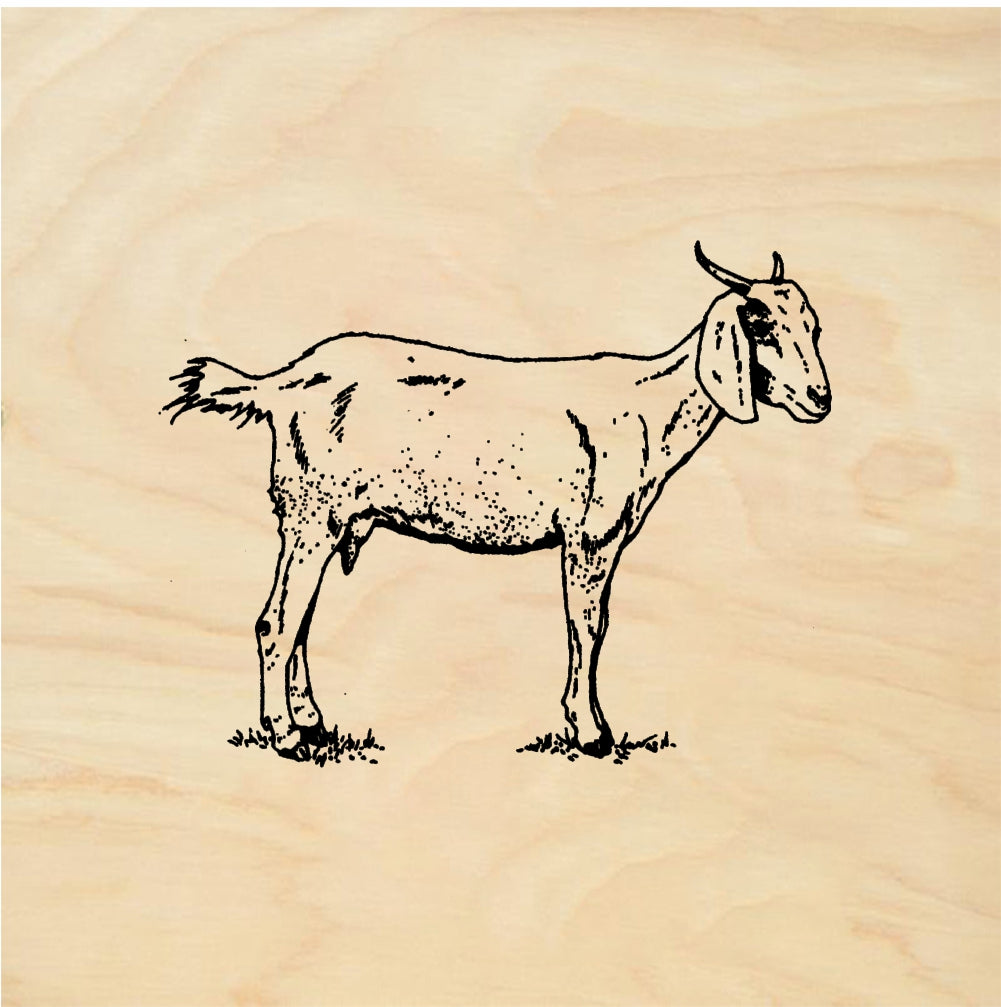 StampaFe Goat - Rubber Stamp 1.25 x 1