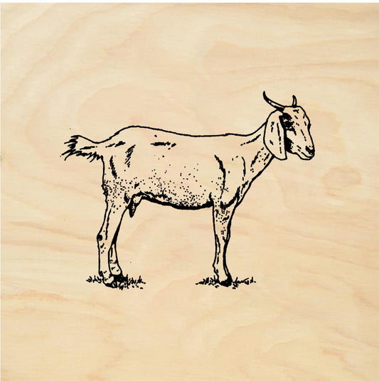 StampaFe Goat - Rubber Stamp 1.25 x 1