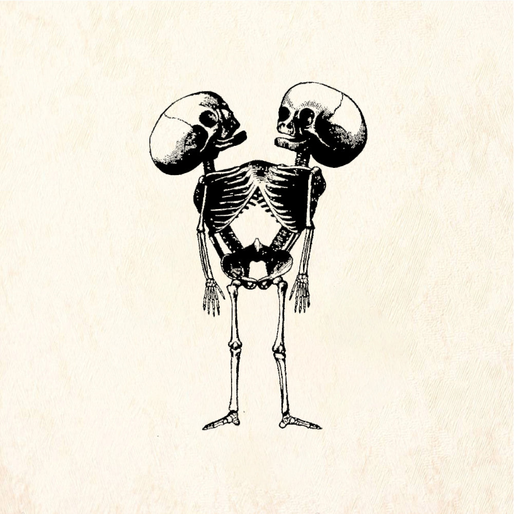 StampaFe Two Headed Skeleton - Rubber Stamp 1 x 2.5