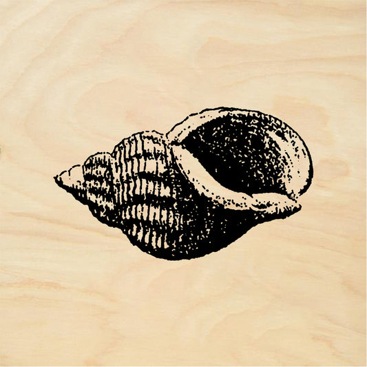 StampaFe Shell #4 Shell Four - Rubber Stamp 1 x 1