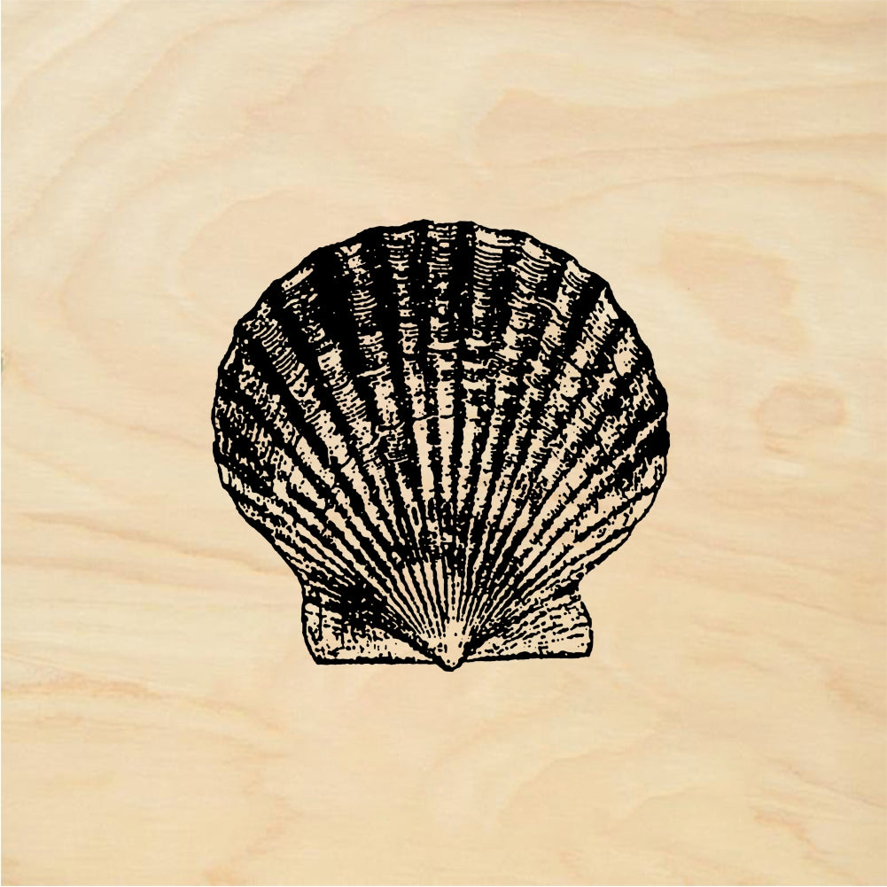 StampaFe Shell #1 Shell One - Rubber Stamp 1.5 x 1.25