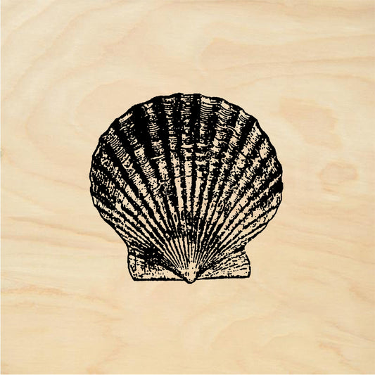 StampaFe Shell #1 Shell One - Rubber Stamp 1.5 x 1.25