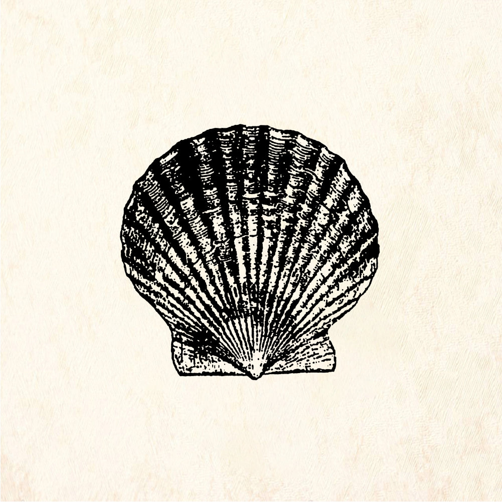 StampaFe Shell #1 Shell One - Rubber Stamp 1.5 x 1.25