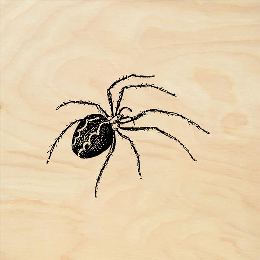 StampaFe Spider - Rubber Stamp 0.5 x 0.75