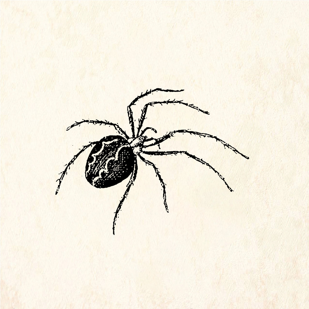 StampaFe Spider - Rubber Stamp 0.5 x 0.75
