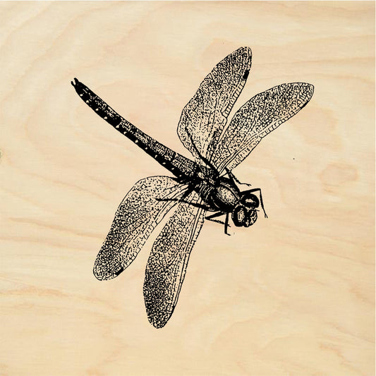 StampaFe Dragonfly, lg. Large Dragonfly - Rubber Stamp 2.25 x 1