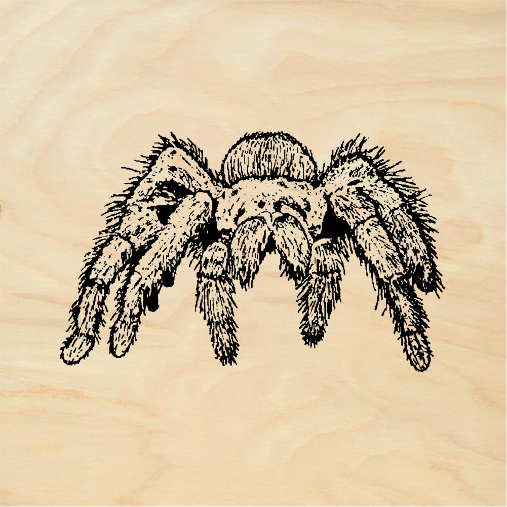 StampaFe Tarantula - Rubber Stamp 1.25 x 1.25