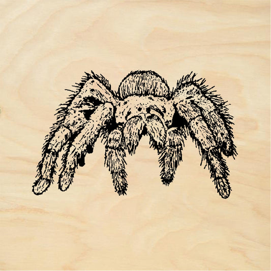StampaFe Tarantula - Rubber Stamp 1.25 x 1.25